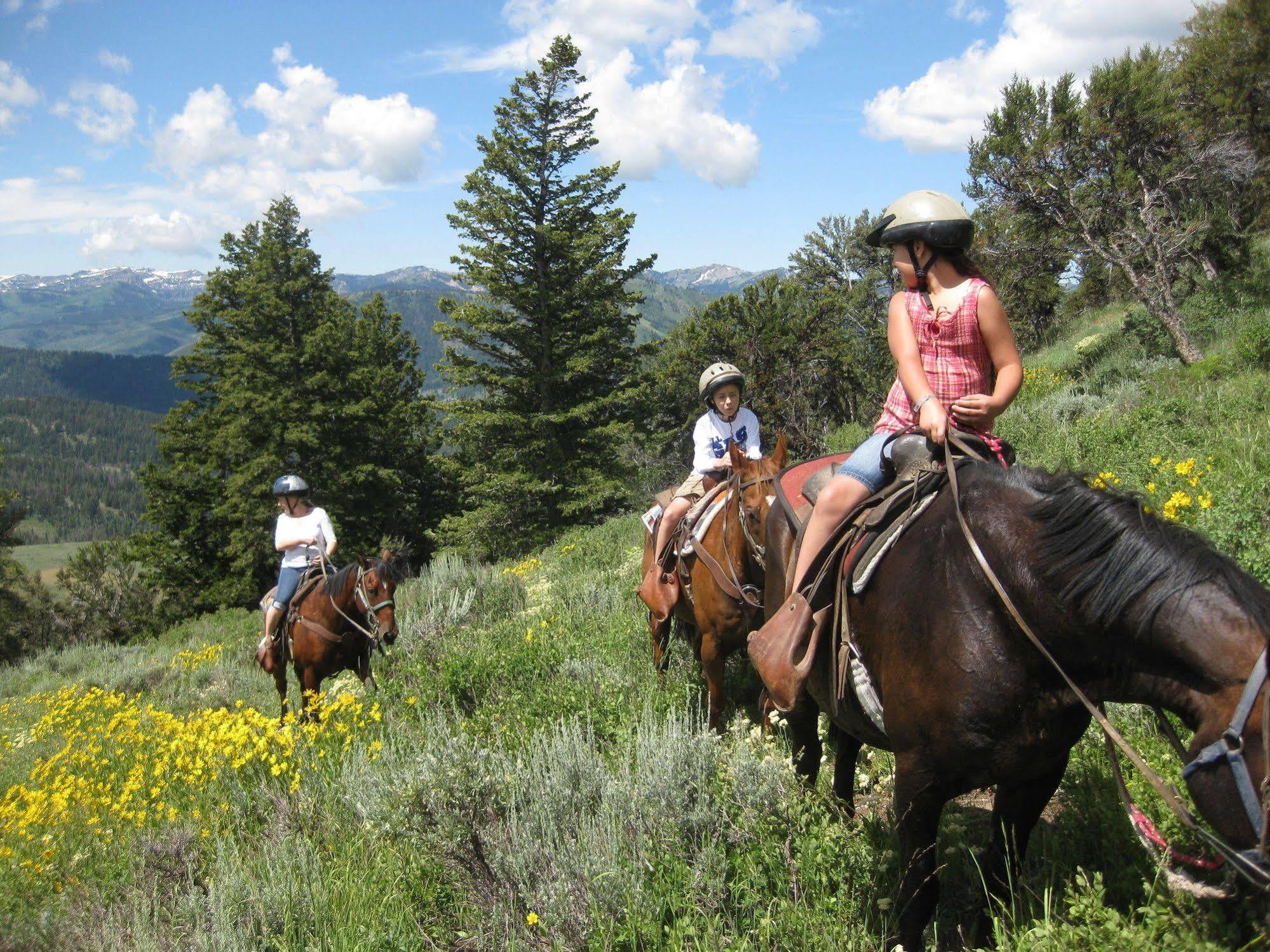 Beaver Creek Lodge Logan Εξωτερικό φωτογραφία